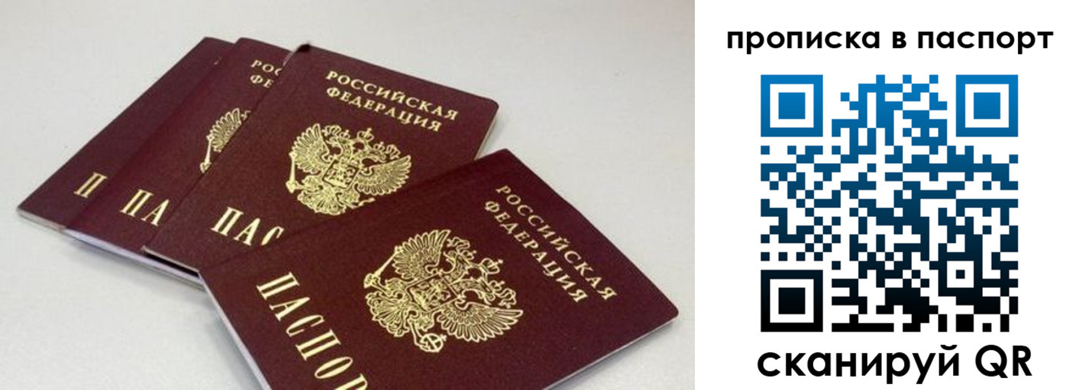 найти адрес прописки в Вольске